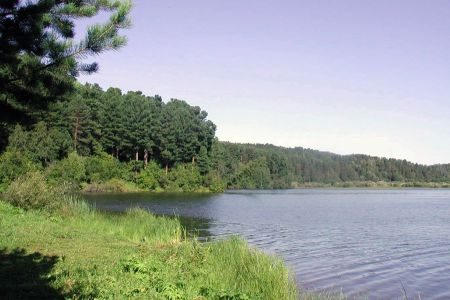 Внешний вид