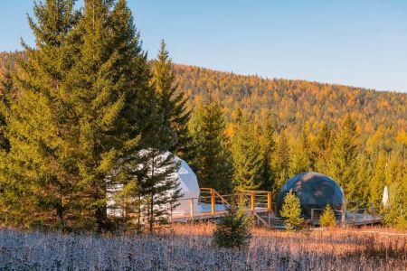 Внешний вид