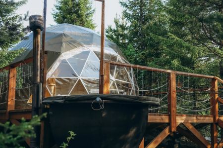 Внешний вид