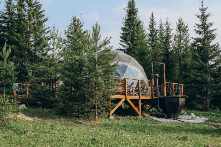 Внешний вид