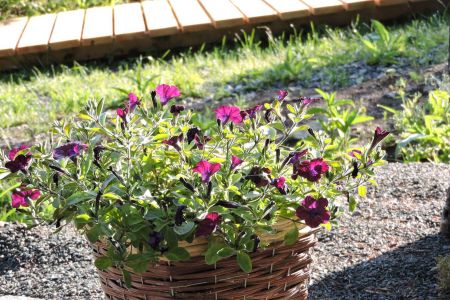 Территория