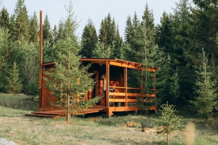 Внешний вид