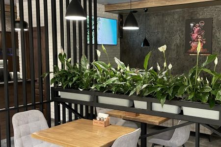 Улучшенный 2-местный