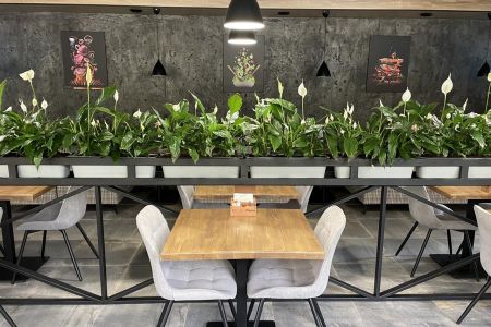 Улучшенный 2-местный