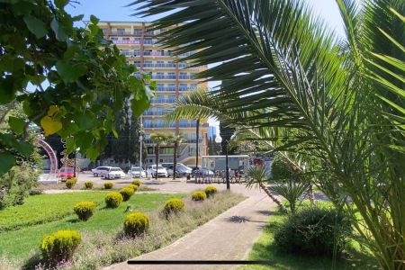 Внешний вид