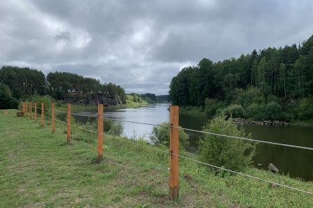 Территория