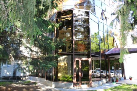 Внешний вид