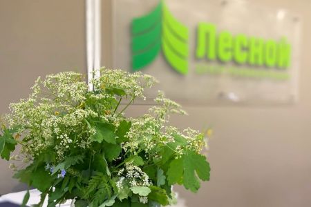 Внешний вид