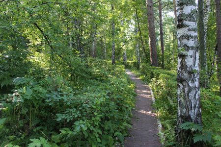 Внешний вид