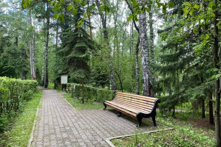 Внешний вид