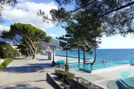 Внешний вид