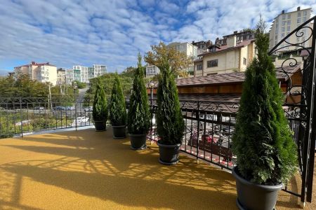 Внешний вид