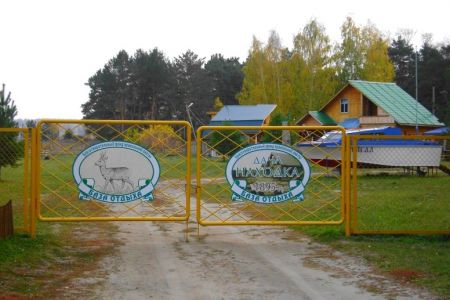 Внешний вид