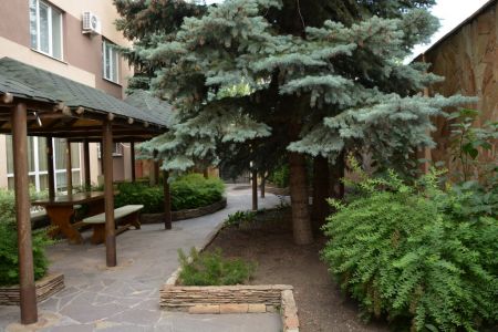 Внешний вид