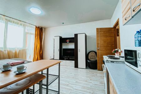 Апартаменты 2-местный Студия №556