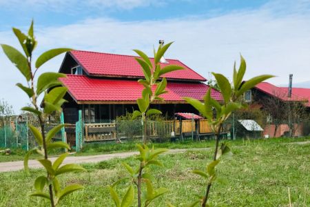 Территория зимой