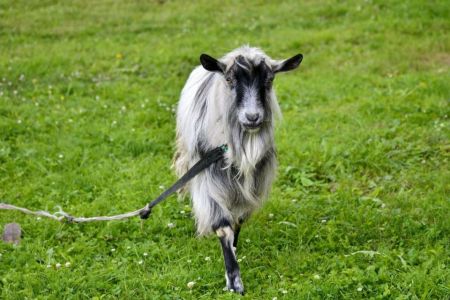 Территория зимой