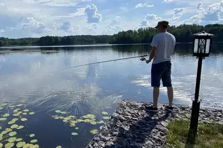 Территория