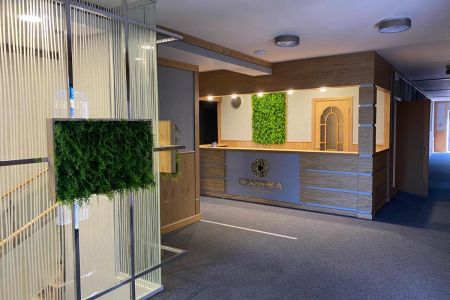 Внешний вид