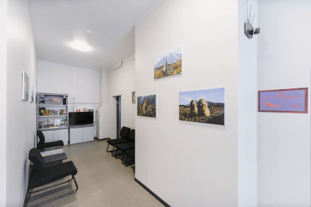 Внешний вид