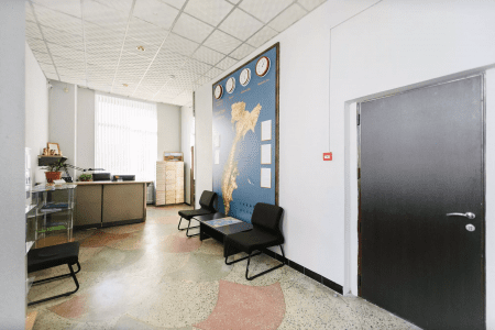 Внешний вид