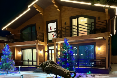 Внешний вид