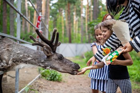 Чкаловские дачи