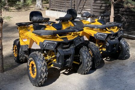 Чкаловские дачи