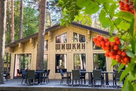 Чкаловские дачи