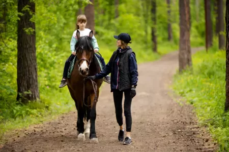 Чкаловские дачи