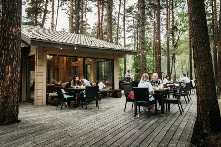 Чкаловские дачи