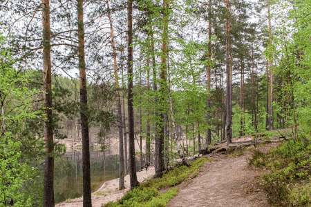 Коттедж 2-местный