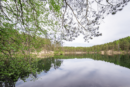 Территория