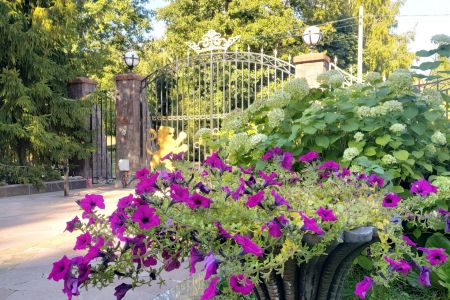 Внешний вид