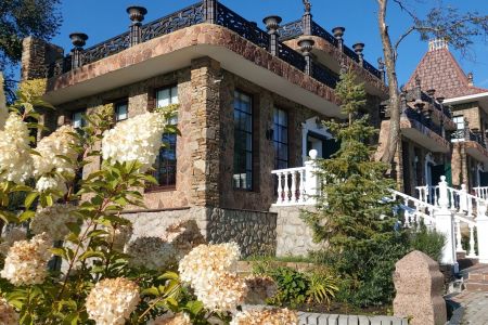 Внешний вид