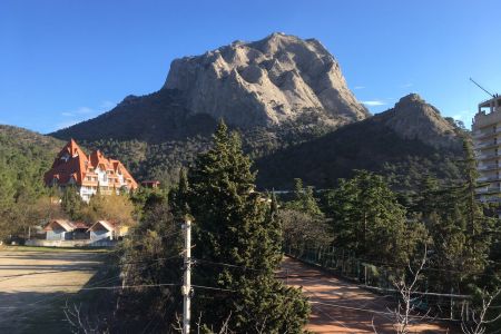 Внешний вид