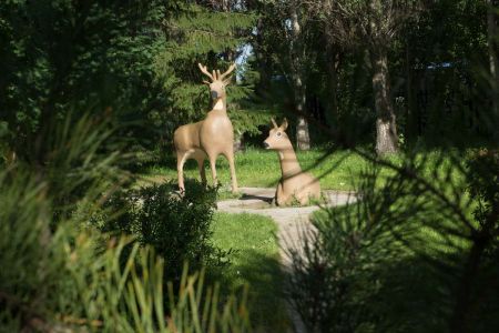 Внешний вид