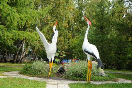 Внешний вид