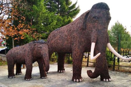 Внешний вид