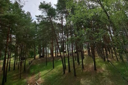 Территория