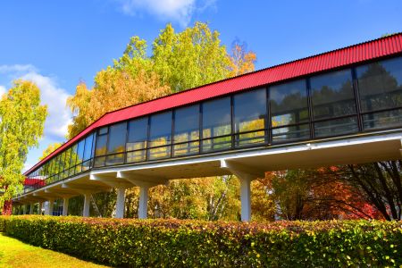 Внешний вид