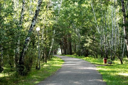 Внешний вид