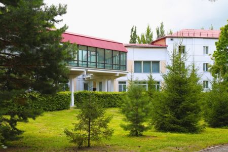 Внешний вид