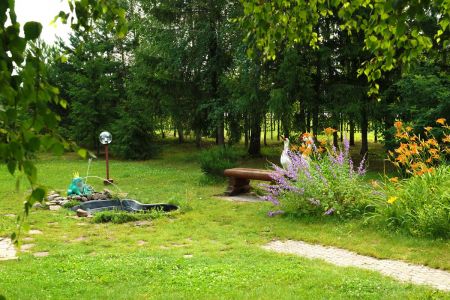 Внешний вид