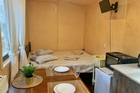 Следопыт зимой