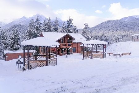 Территория