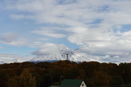 Внешний вид