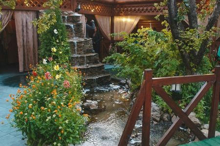 Внешний вид