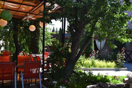 Внешний вид