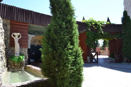 Внешний вид